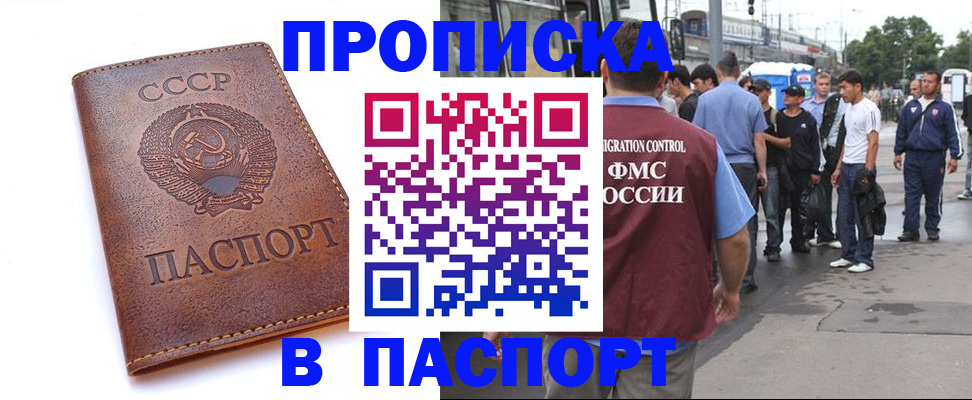 временная регистрация поиск в Николаевске